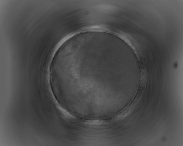 X0000097951474200804011623