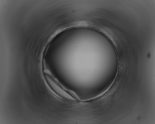 X0000097951475200804011623
