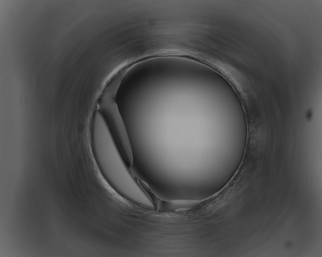 X0000097951476200804011623