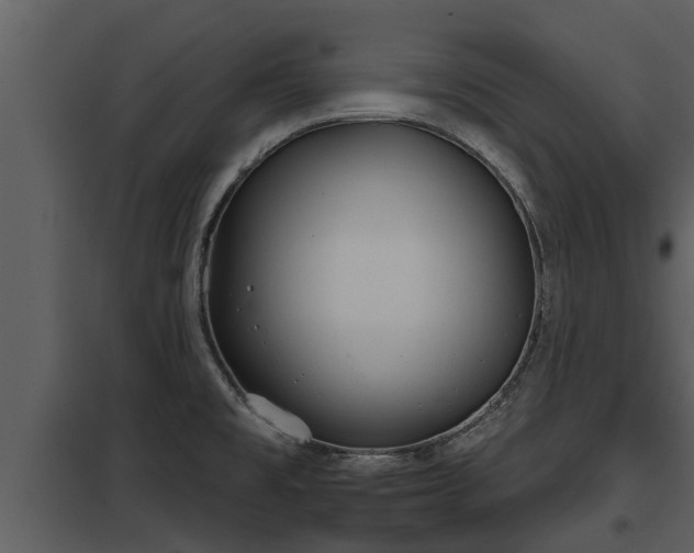 X0000097951477200804011623