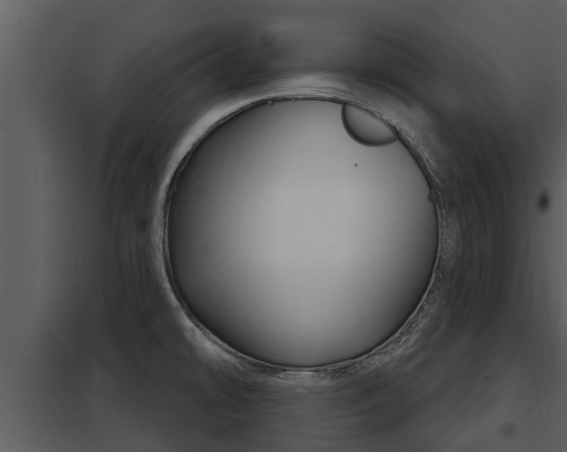 X0000097951478200804011623