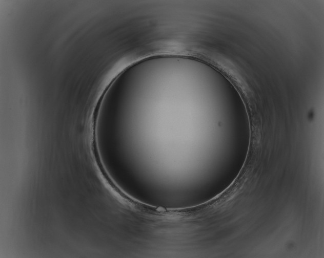 X0000097951479200804011623