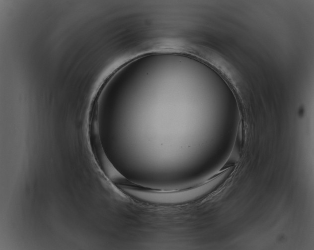 X0000097951480200804011623