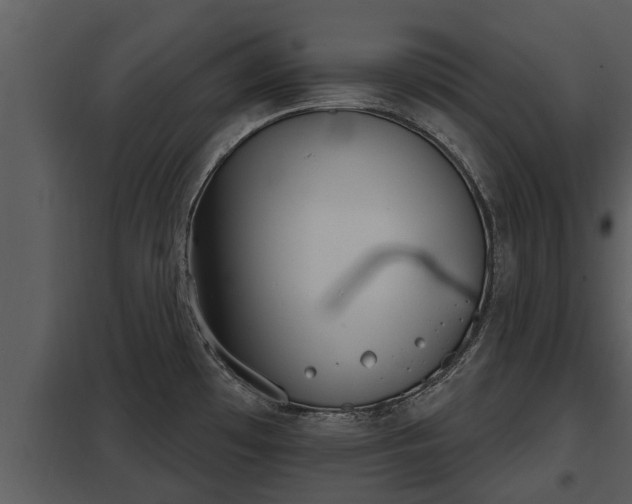 X0000097951481200804011623