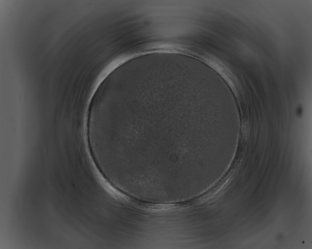 X0000097951482200804011623