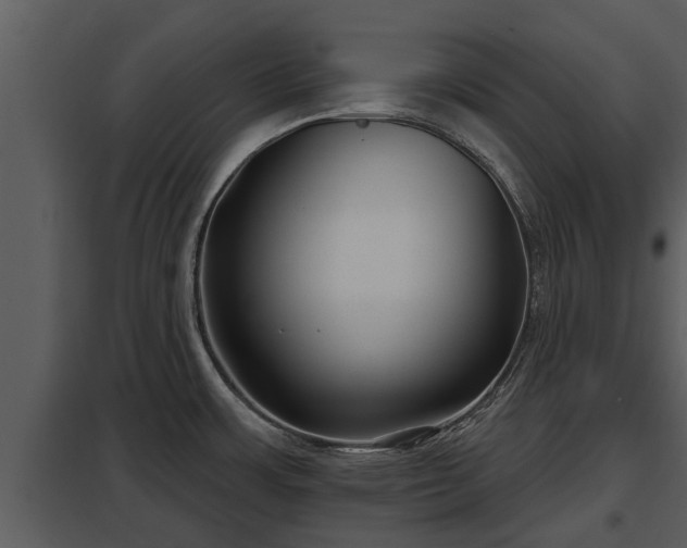 X0000097951483200804011623