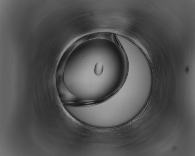 X0000097951484200804011622