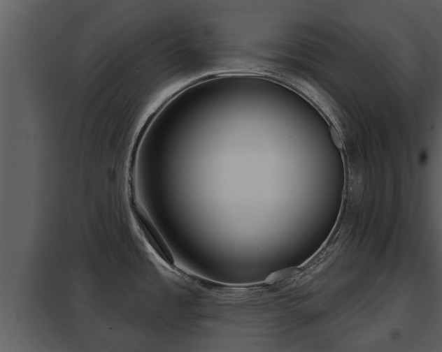 X0000097951485200804011622