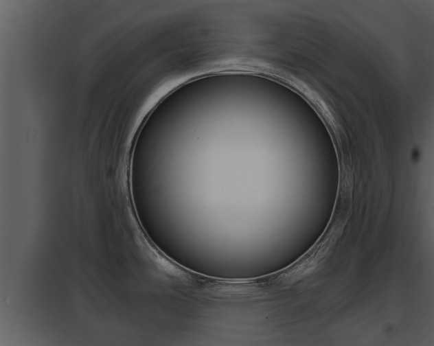 X0000097951486200804011622