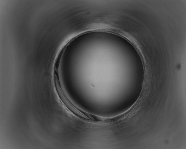X0000097951488200804011622