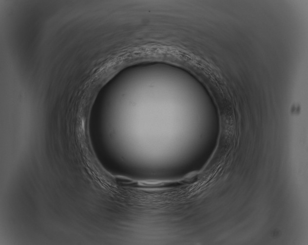 X0000097951489200804011622