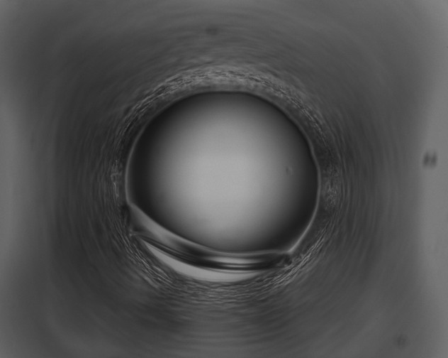 X0000097951490200804011622