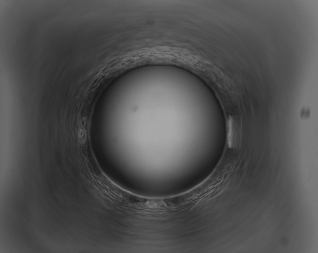 X0000097951491200804011622