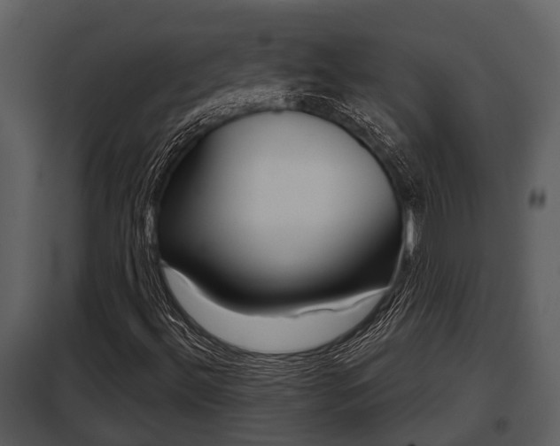X0000097951492200804011622