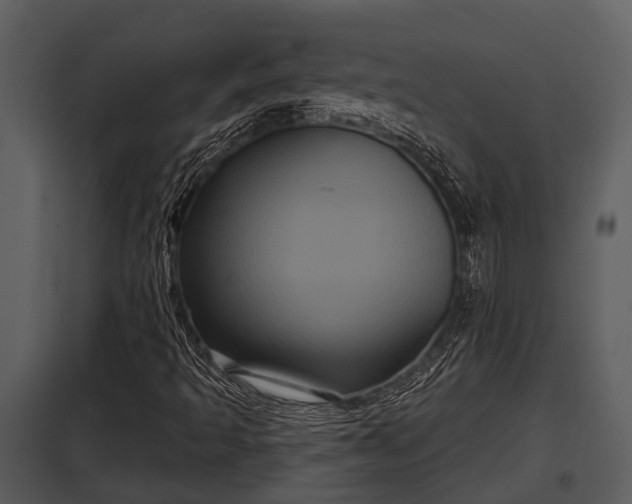 X0000097951493200804011622
