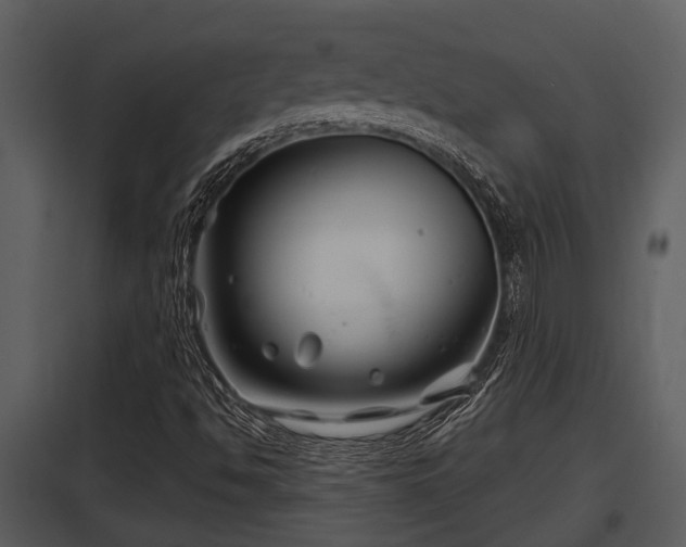 X0000097951494200804011622
