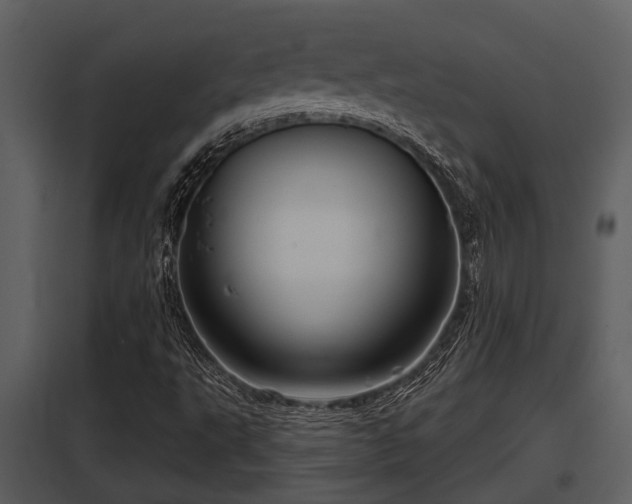 X0000097951495200804011622