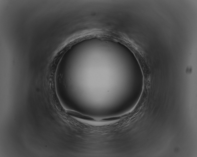 X0000097951496200804011622