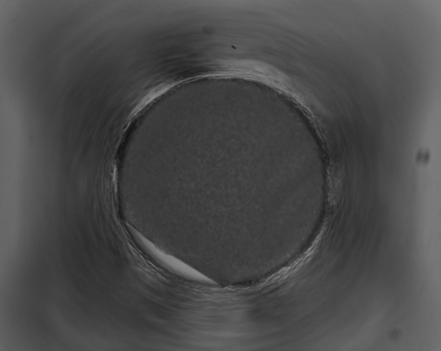X0000097951497200804011622