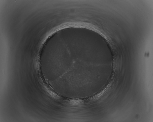 X0000097951498200804011622