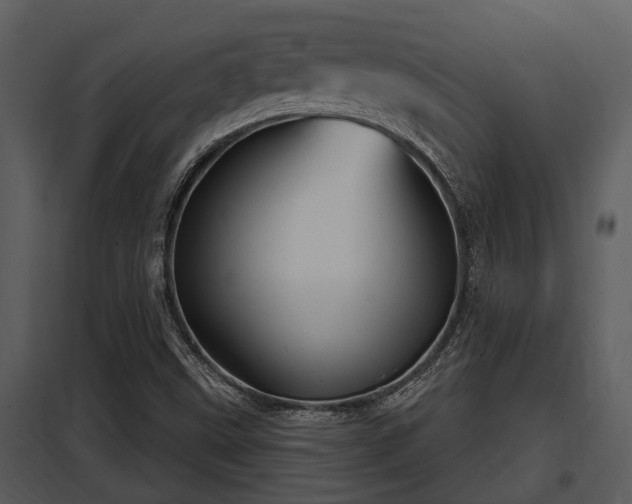 X0000097951499200804011622