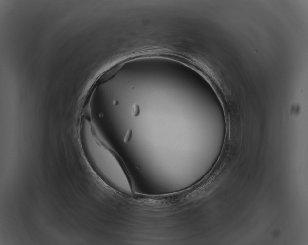X0000097951500200804011622