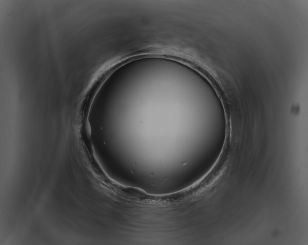 X0000097951501200804011622