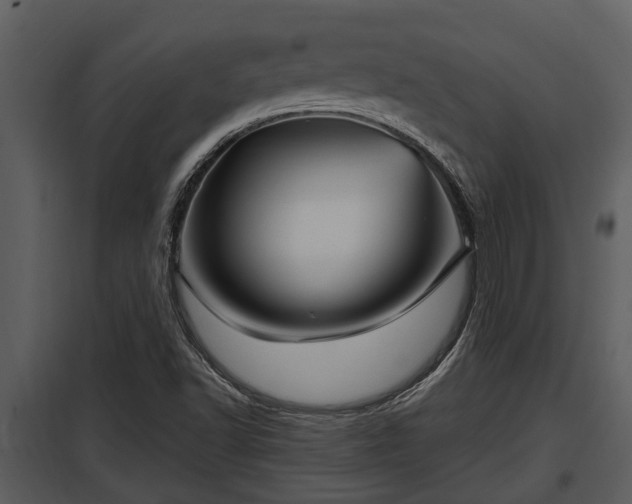 X0000097951502200804011622