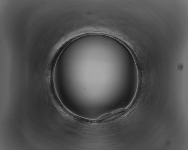 X0000097951503200804011622