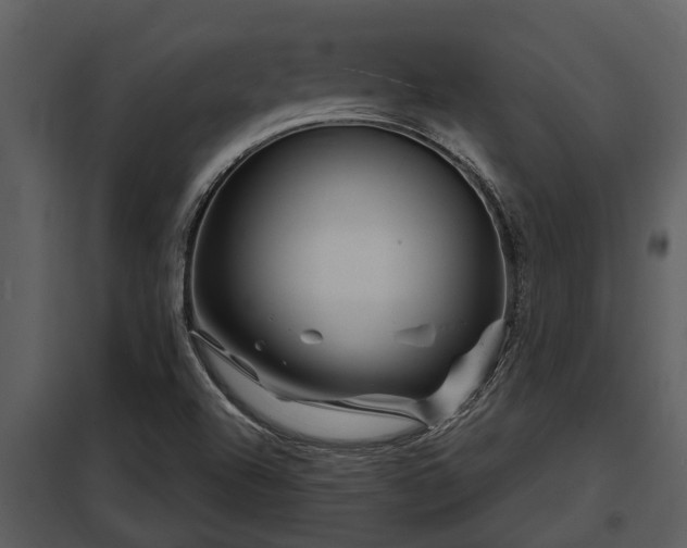 X0000097951504200804011622