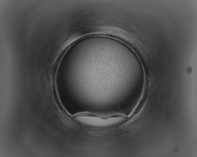 X0000097951505200804011622