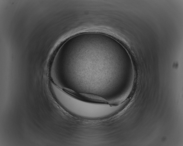 X0000097951506200804011622