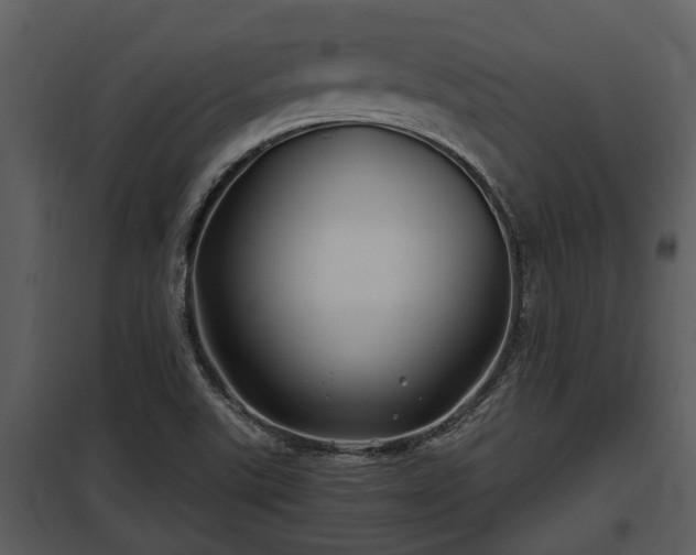 X0000097951507200804011622