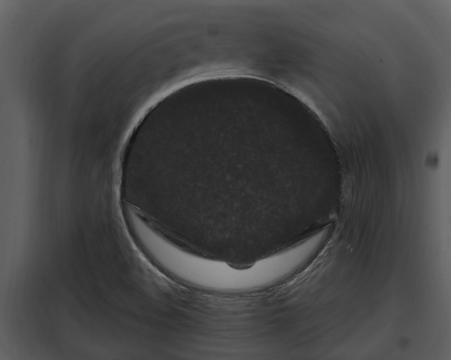 X0000097951508200804011622