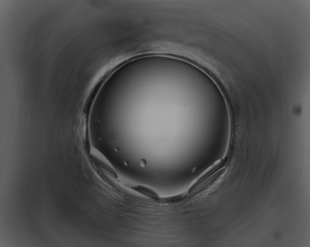 X0000097951509200804011622