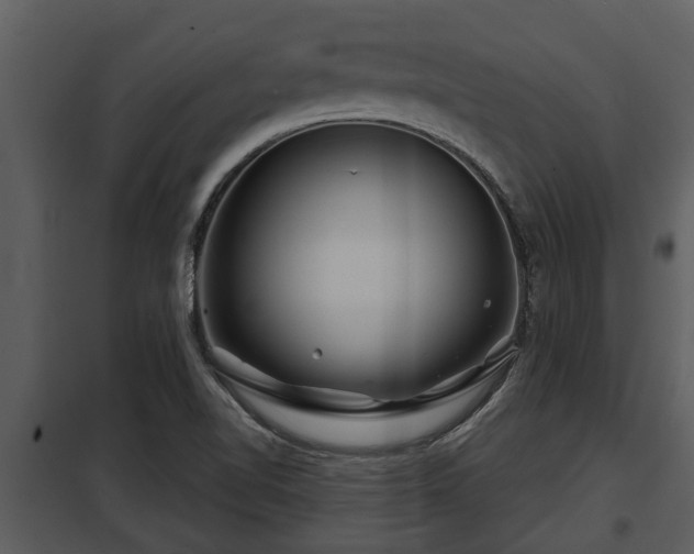 X0000097951510200804011622