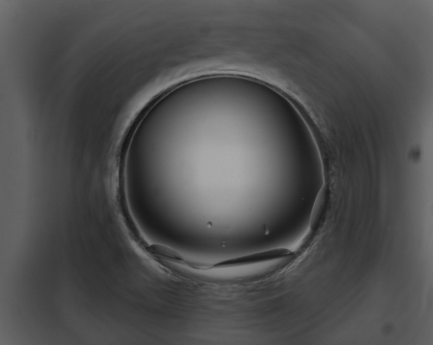 X0000097951511200804011622