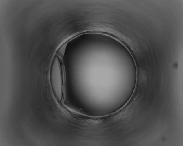 X0000097951513200804011622