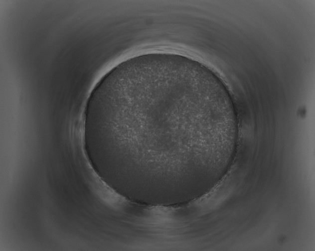 X0000097951514200804011622
