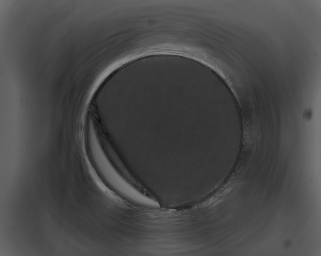 X0000097951515200804011622