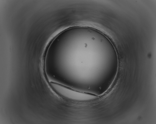 X0000097951517200804011622