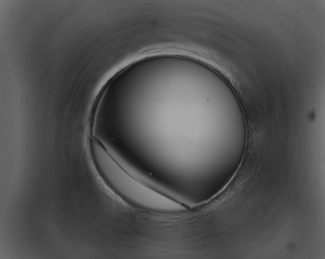 X0000097951518200804011622
