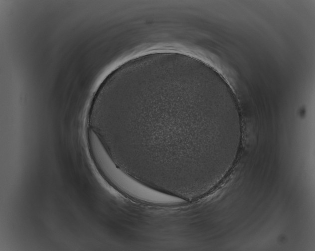 X0000097951519200804011622
