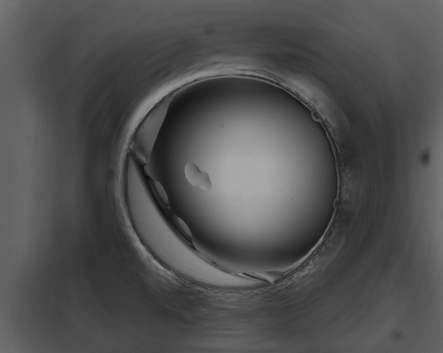 X0000097951520200804011622