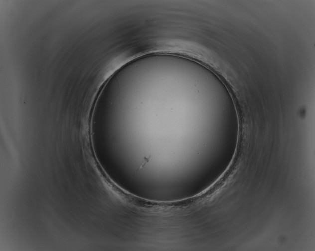 X0000097951521200804011622