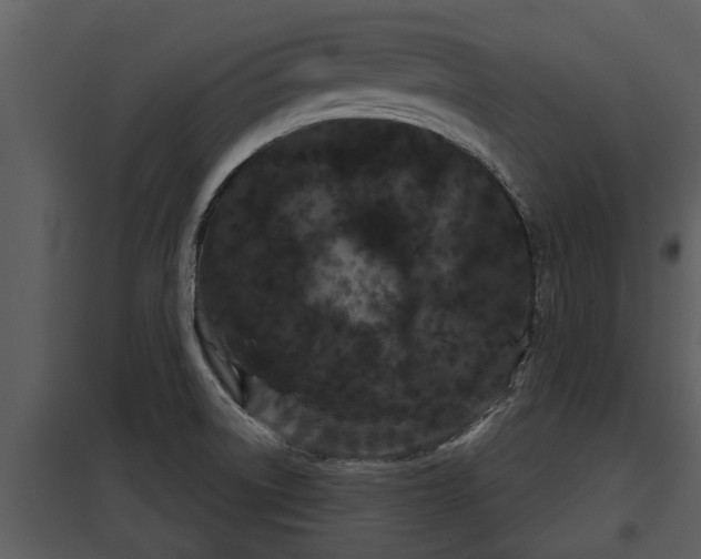 X0000097951522200804011622