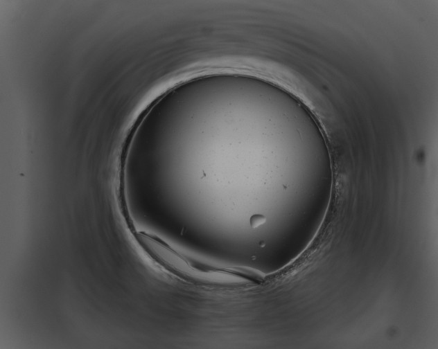 X0000097951523200804011622