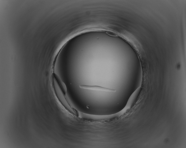 X0000097951524200804011622
