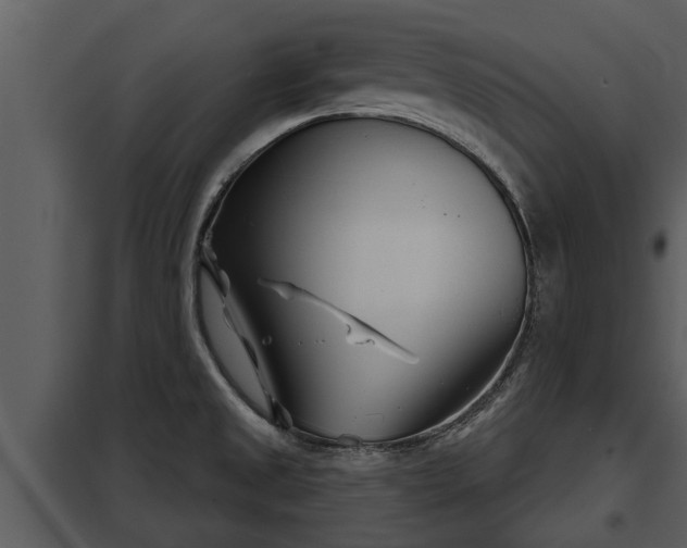 X0000097951525200804011622