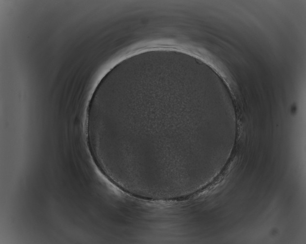 X0000097951527200804011622